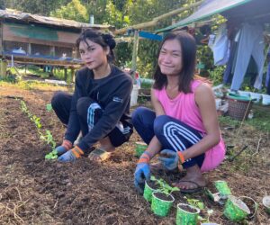 Hive Community Garden