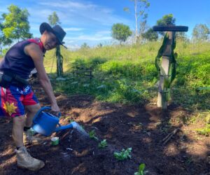 The Hive Community Garden